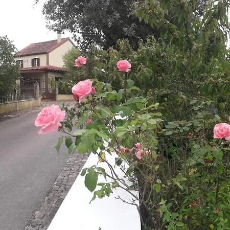 Casa Hozani בית נופש