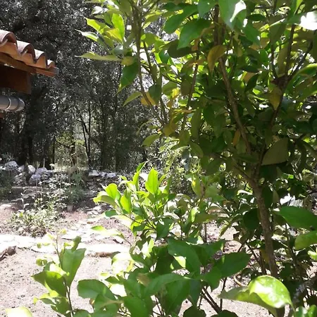 Casa Hozani *