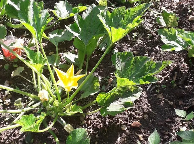 Casa Hozani Casa vacanze